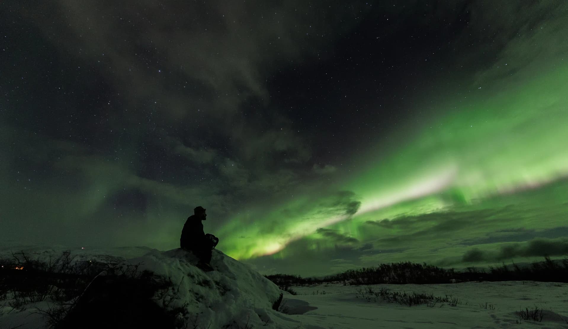 A person sitting on a snow-covered rock beneath a wide band of green northern lights, with birch scrub and snowy fells behind, in Swedish Lapland