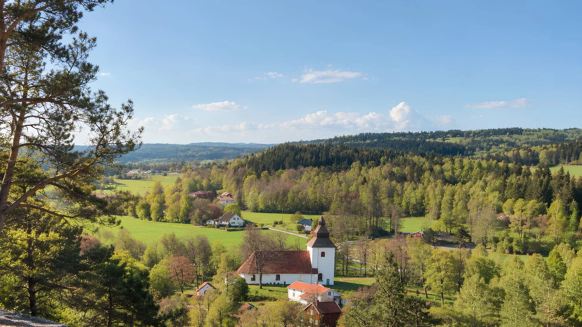 A white country church among fields and birch woods in a green valley, under a clear late-spring sky