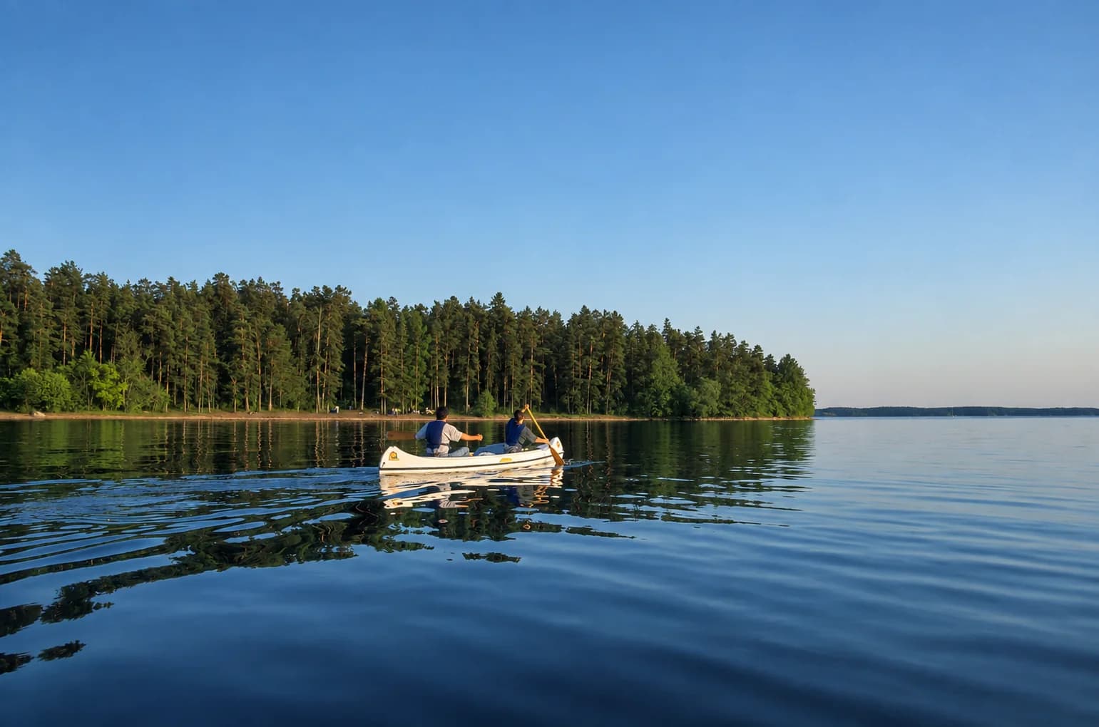 Two people paddling a white canoe across still water past a pine-covered shore on Lake Mälaren on a clear summer evening